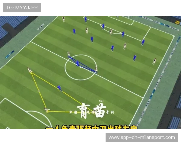 三中卫体系增强边路保护，三中卫体系的好处