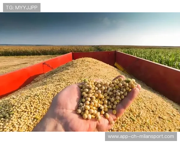 美国大豆农场主遭遇停购压力,大豆 美国 美国大豆农场主遭遇停购压力,大豆 美国